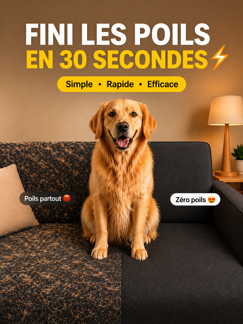 brosse anti poils chien canapé